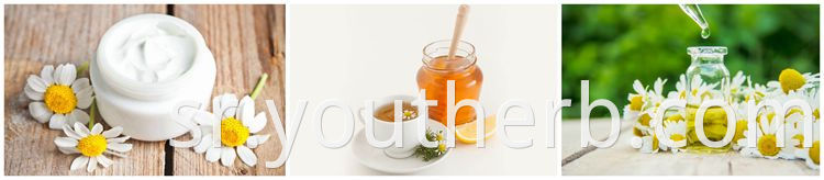 chamomile extract powder